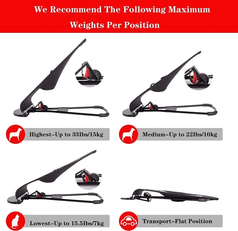 Portable Rocking Chair for French Bulldog Dog Bed pet Dog Rocking Chair Removable and Washable Comfort Chair Baby Rocking Chair Portable Rocking Chair for French Bulldog Dog Bed pet Dog Rocking Chair Removable and Washable Comfort Chair Baby Rocking Chair