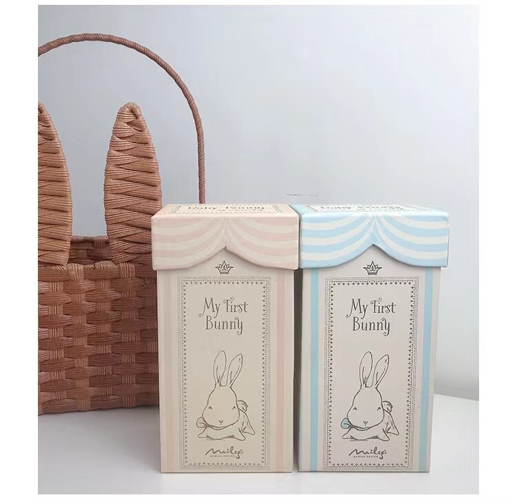 Kawaii Bunny Plushies with Colorbox Cute Handmad Rabbit Stuffed Toys For Newborn Baby Soft Bunny Dolls Gift For Easter Christmas