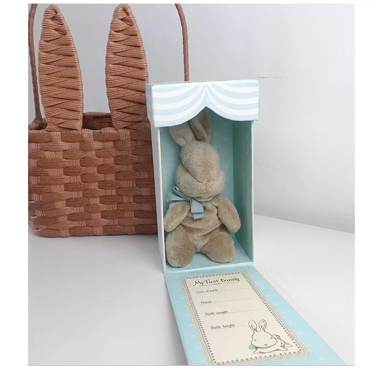 Kawaii Bunny Plushies with Colorbox Cute Handmad Rabbit Stuffed Toys For Newborn Baby Soft Bunny Dolls Gift For Easter Christmas