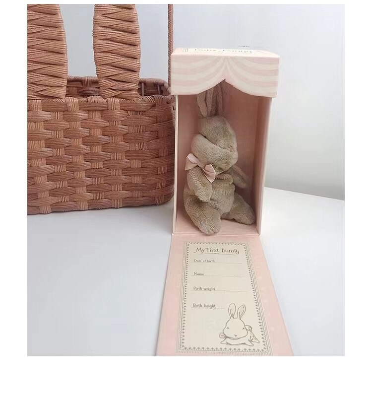 Kawaii Bunny Plushies with Colorbox Cute Handmad Rabbit Stuffed Toys For Newborn Baby Soft Bunny Dolls Gift For Easter Christmas