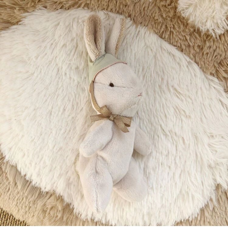Kawaii Bunny Plushies with Colorbox Cute Handmad Rabbit Stuffed Toys For Newborn Baby Soft Bunny Dolls Gift For Easter Christmas
